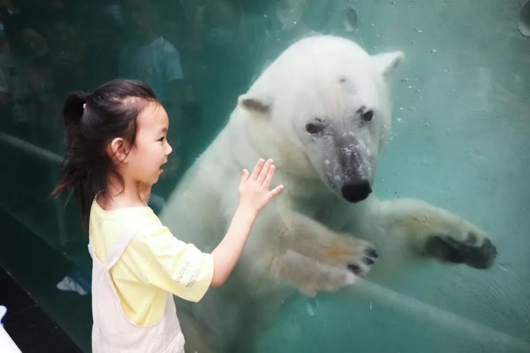 超值丨1大1小僅需258元，還送秦嶺野生動物園親子票